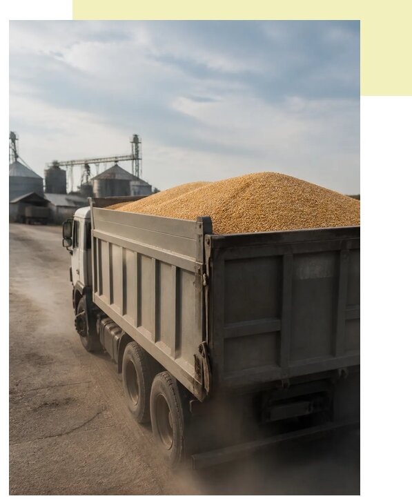 Перевозка сельхозпродукции навалом в Кропоткина по цене от 3258 р. | Агросервис-Крп
